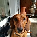 ���� ����, ������, 57 ��� - ��������� 6 ������� 2018 � ������ ������ ��������