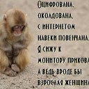 ���� �����, �����-���������, 61 ��� - ��������� 8 ������� 2018 � ������ ������ ��������