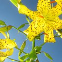 ���� ����, ������, 73 ���� - ��������� 21 ������ 2018 � ������ ���� ����������