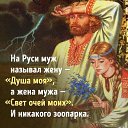���� �������, ��������, 48 ��� - ��������� 8 �������� 2018 � ������ ���� ����������