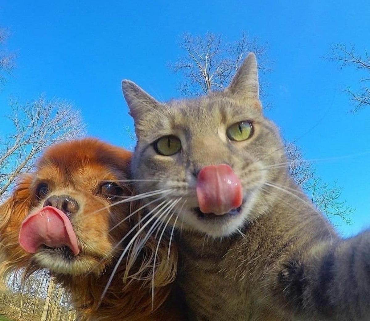  - 26  2019  15:03 - 14