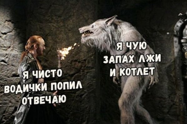 Когда возвращаешься ночью с кухни, где втихаря сожрал котлеты, и встречаешь кота