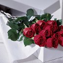 ���� ��������, ������ - ��������� 13 �������� 2018