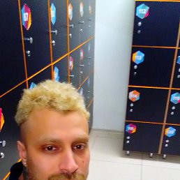 �����, ������, 37 ���