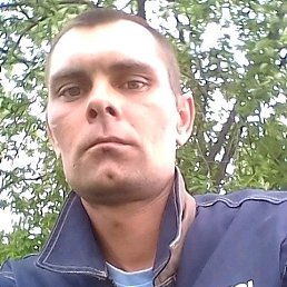 ����, �����������, 41 ���