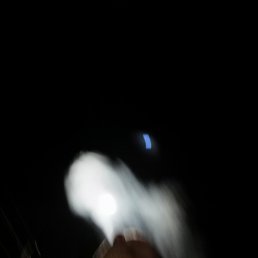 �����, �����������, 103 ����