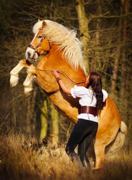 ������ - ��� ��� ���! - 25 ����� 2019 � 03:32