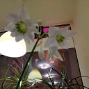 ���� �����, �����-��������� - ��������� 12 ����� 2019 � ������ ������ �����..... � ������� !!!....�