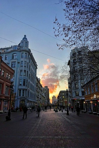 Предложение от Путина и бегающие по лесу шоколадки Аленка.. Нет я не сошла с ума, по крайне мере ...