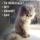 ���� �����, ������� - ��������� 23 ������� 2018 � ������ ������ ��������