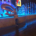 ���� �����, ������ - ��������� 12 ������� 2018 � ������ ���� ����������