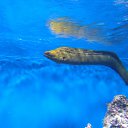 ���� ������, �������������, 37 ��� - ��������� 22 ������� 2018 � ������ ������ ��������