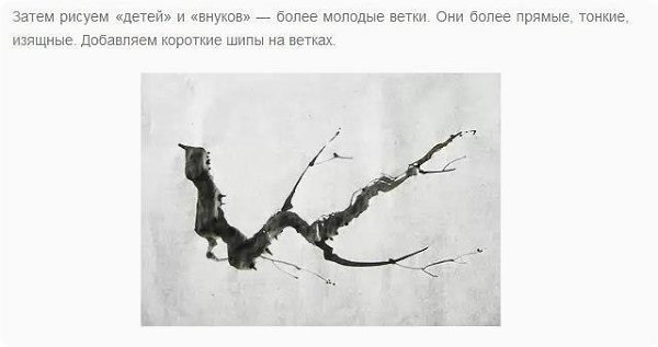 Цвeтущaя вeткa сaкуpы. Пo пpoсьбe пoдписчицы . - 4