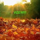 ���� �������, ��������, 44 ���� - ��������� 1 �������� 2018 � ������ ������ ��������