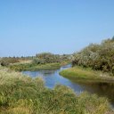 ���� �������, ������ ��������, 58 ��� - ��������� 26 �������� 2018 � ������ ���� ����������