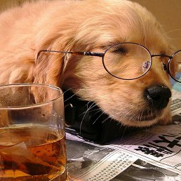 Vitaliy, ������, 56 ���