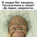 ���� �������, ������ ���, 67 ��� - ��������� 27 ������ 2019 � ������ ���� ����������