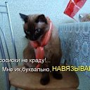�� ������� � ���� ��� ������� ������ �� ��� �� ��� ������.))) �� ������� ���� ����������