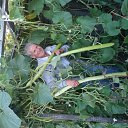 ���� �������, �������, 72 ���� - ��������� 5 ������ 2018 � ������ ���� ����������