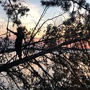    . )))    ,  .  2018.