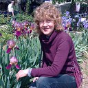 ���� ������, �����������, 62 ���� - ��������� 16 ������� 2018