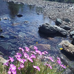 �, �����������