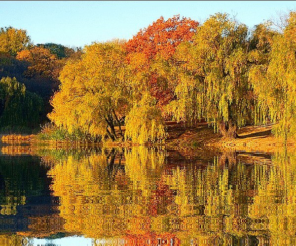   , ,   ,      ,   , ...