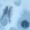 ���� �������, �������������, 62 ���� - ��������� 22 ������ 2019 � ������ ��������