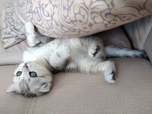 ��� ���� � ����� �� �� - 3 ������� 2018 � 16:32