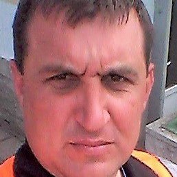 ���������, ������������, 41 ���