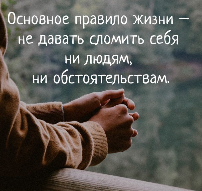 The Lady - 26 июля 2018 в 16:41