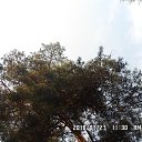 ���� ����, �������� - ��������� 30 ���� 2018 � ������ ���� ����������