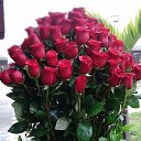 ���� ���, ������, 65 ��� - ��������� 23 ����� 2019 � ������ ���� ����������