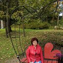 ���� ����, �����, 66 ��� - ��������� 8 ������� 2018 � ������ ���� ����������