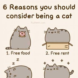 �����, ��������, 55 ���