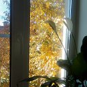 ���� �������, ������ - ��������� 29 ������� 2018 � ������ �Timeline Photos�