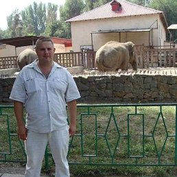 ��������� �������, ��������, 51 ���