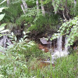 ���� �����, ������� �������� - ��������� 1 ������ 2018