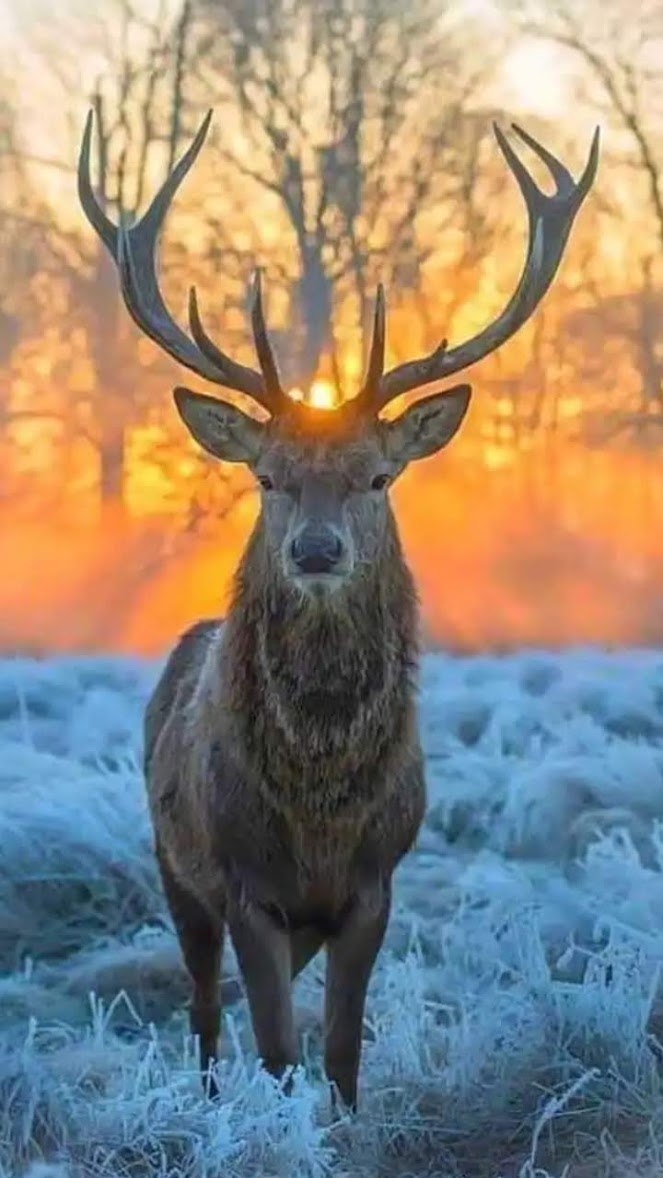  - 10  2019  18:38