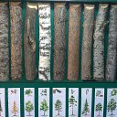  , , 46  -  20  2018     "" ( 2018)