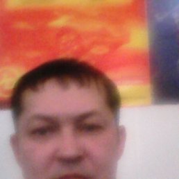 ��������, ����������, 44 ����