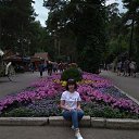 ����������� �� ������� ���� ����������