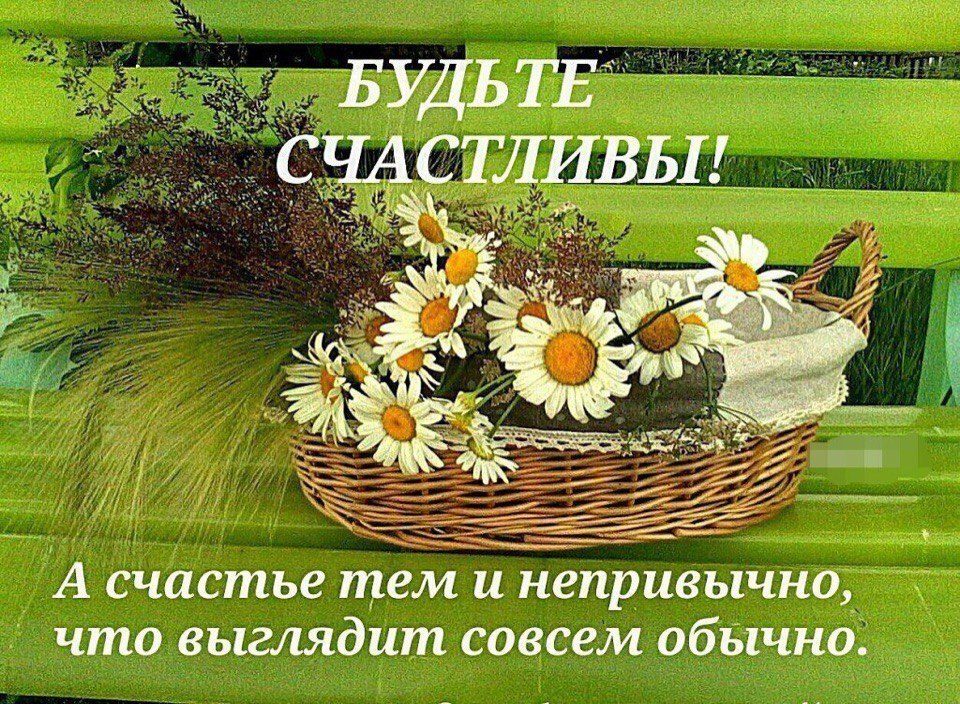 Ландыш - 16 июля 2018 в 01:08