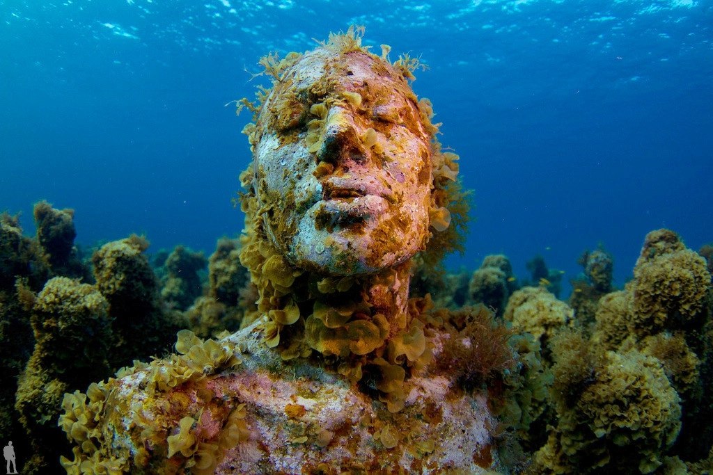    (The Underwater Sculpture Park) -  ,    ... - 2