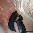 ���� ����, �������, 43 ���� - ��������� 7 ������� 2018 � ������ ���� ����������