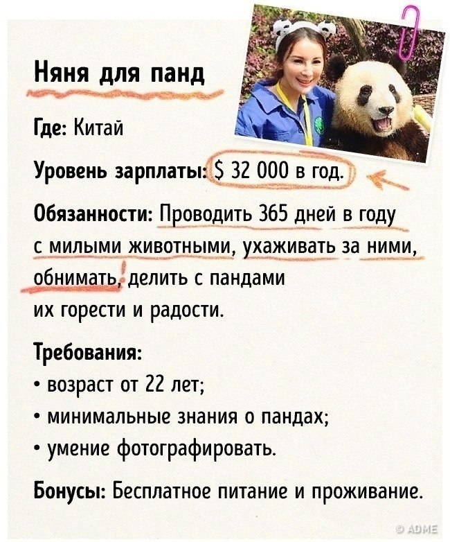  e  o  p, o e 