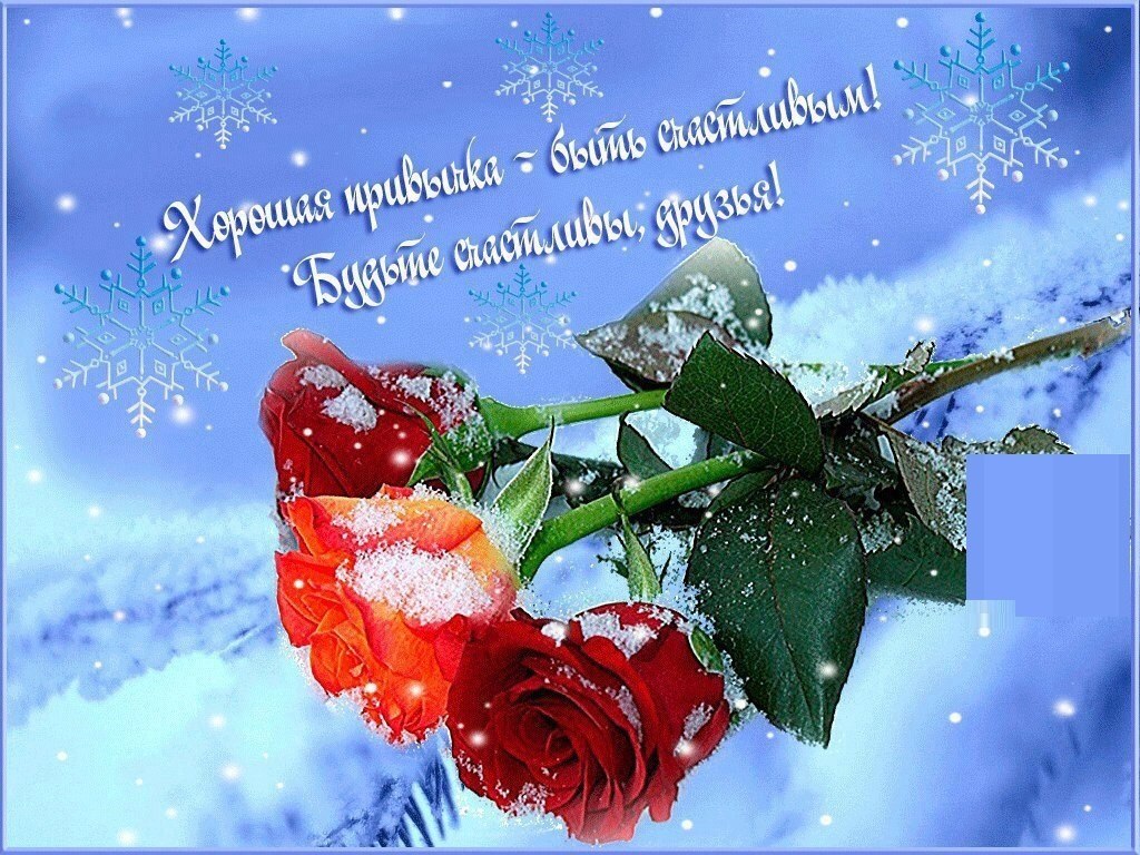 ������� - 13 ������ 2019 � 19:37