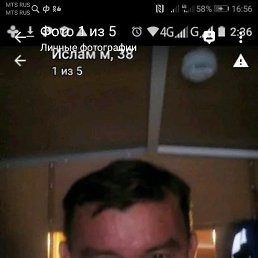 ������, ���, 46 ���