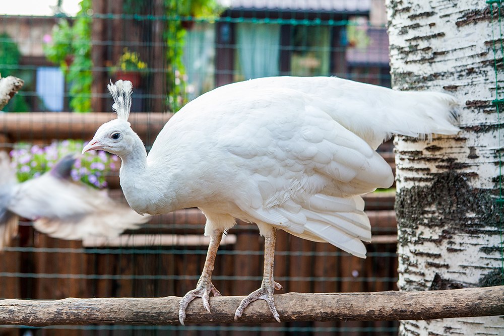 Lara - 30 ������ 2019 � 10:44 - 2