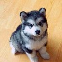 ���� �������, ��������, 35 ��� - ��������� 31 ������� 2018 � ������ ���� ����������